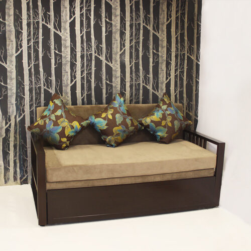 brown sofa cum bed