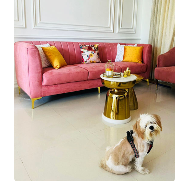 kolkata's best furniture store