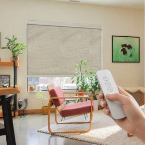 Window Coverings Kolkata: Blinds & Curtains motorised blind neutral living room